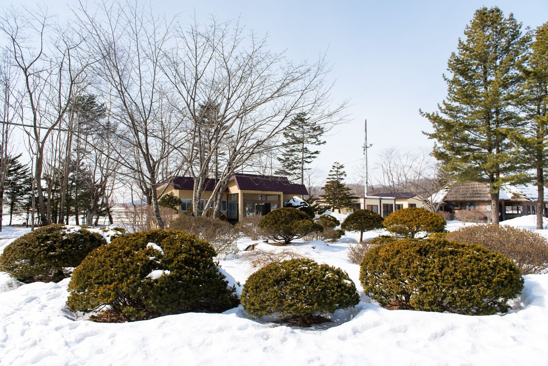 Snow-covered landscape with green bushes in the foreground, small buildings and bare trees in the background.