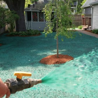 A person is watering a lawn with a hose