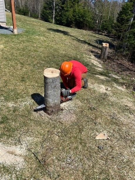 a person is cutting a tree stump with a chainsaw .