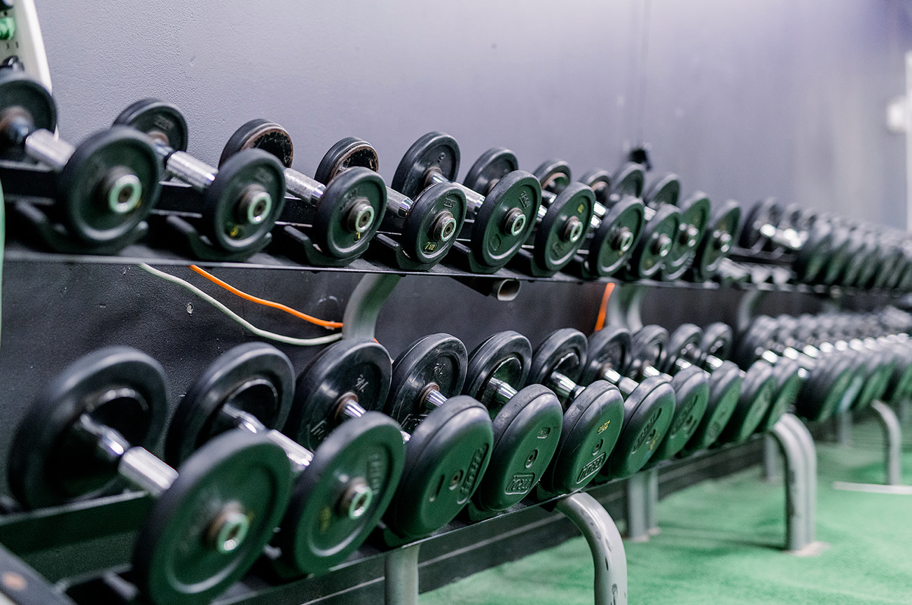 A row of dumbbells are lined up on a rack in a gym.