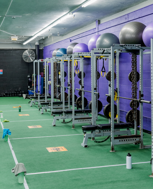 A gym with a green floor and purple walls