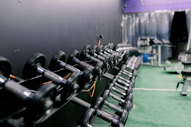 A row of dumbbells are lined up in a gym.