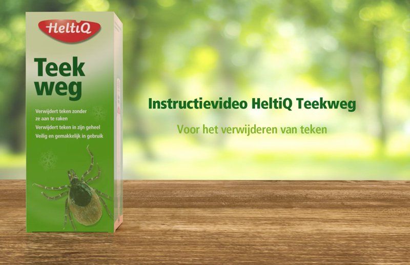 Instructie animatie Heltiq Teek weg