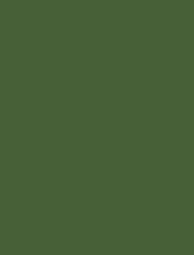 Solid olive-green background