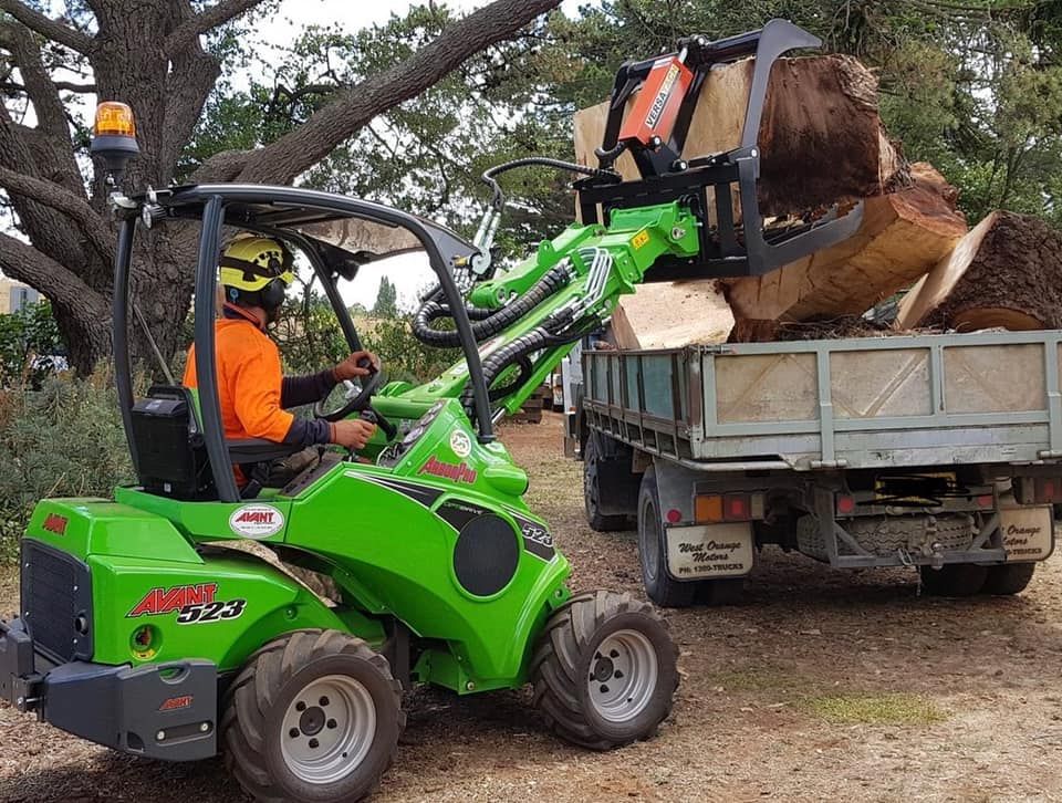 tree lopping services Tallai