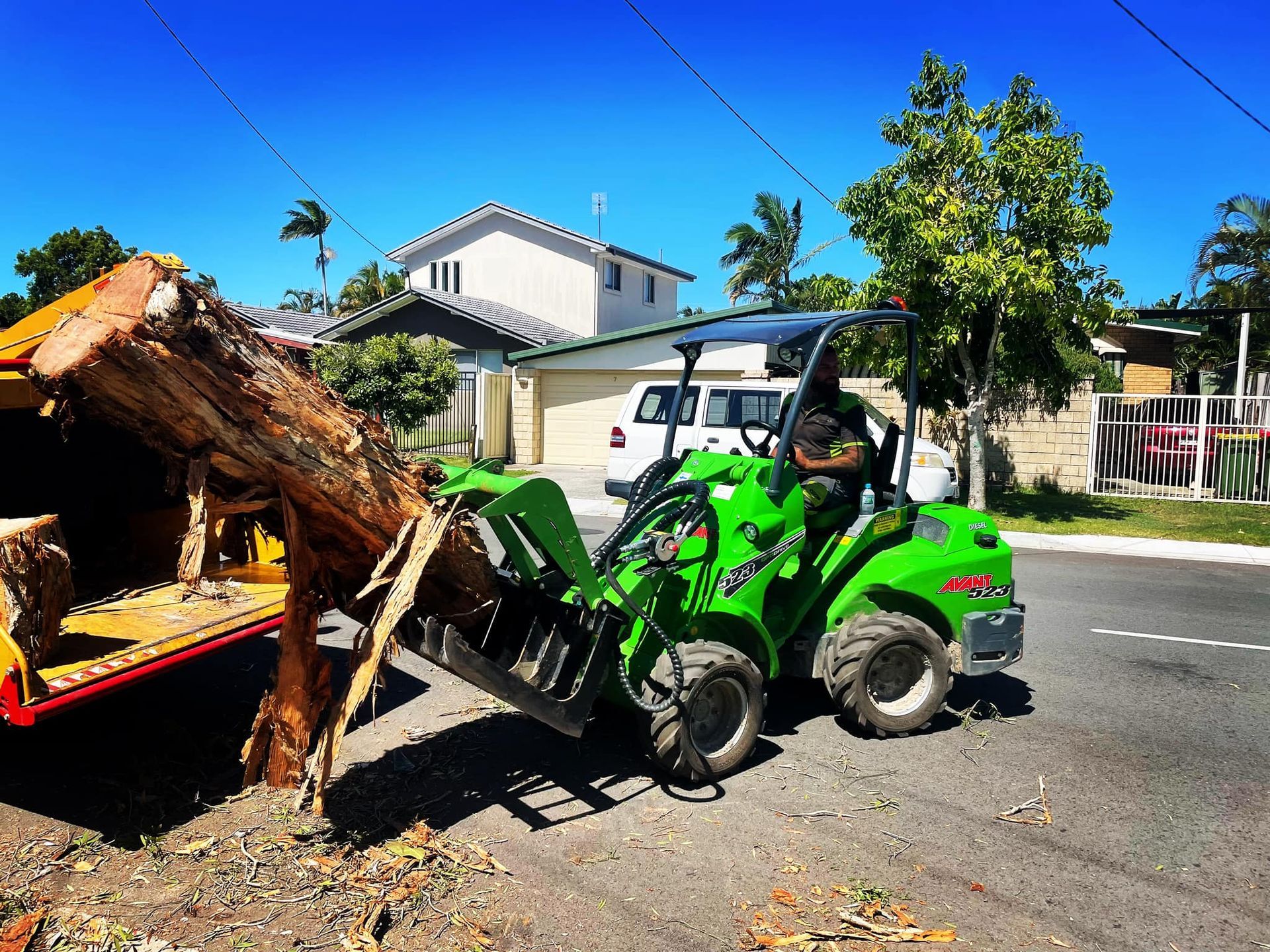 best tree lopping services Pacific Pines
