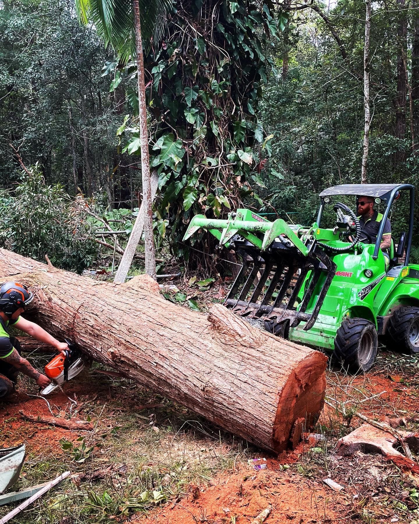 stump removal grinders Oxenford