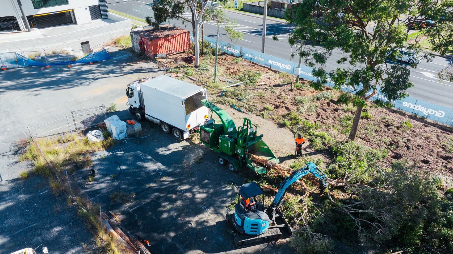 best tree lopping services Currumbin Valley