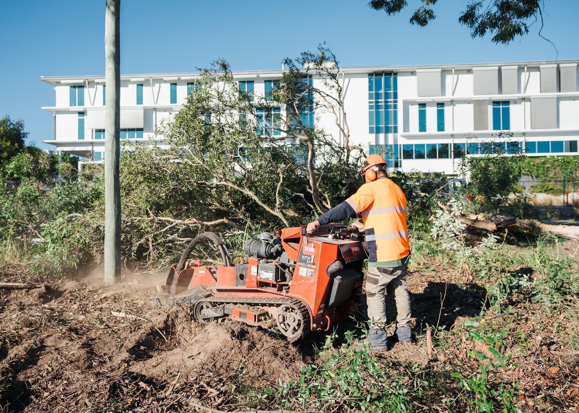 stump removal grinders Currumbin Valley