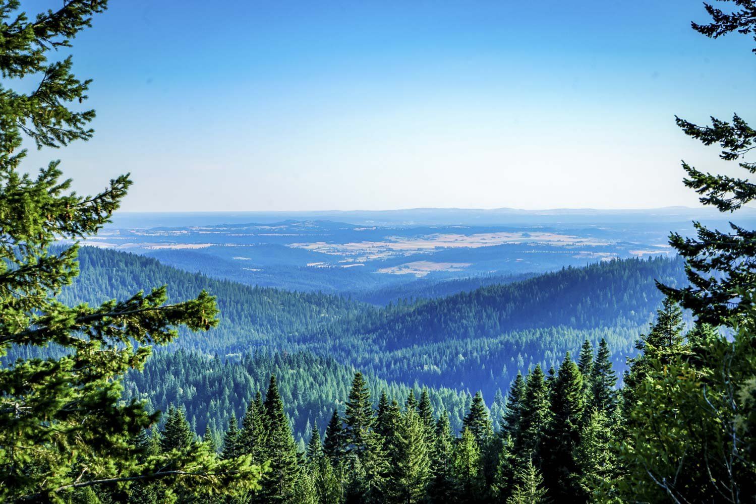 Mt Spokane | Carnahan Glen Apartments