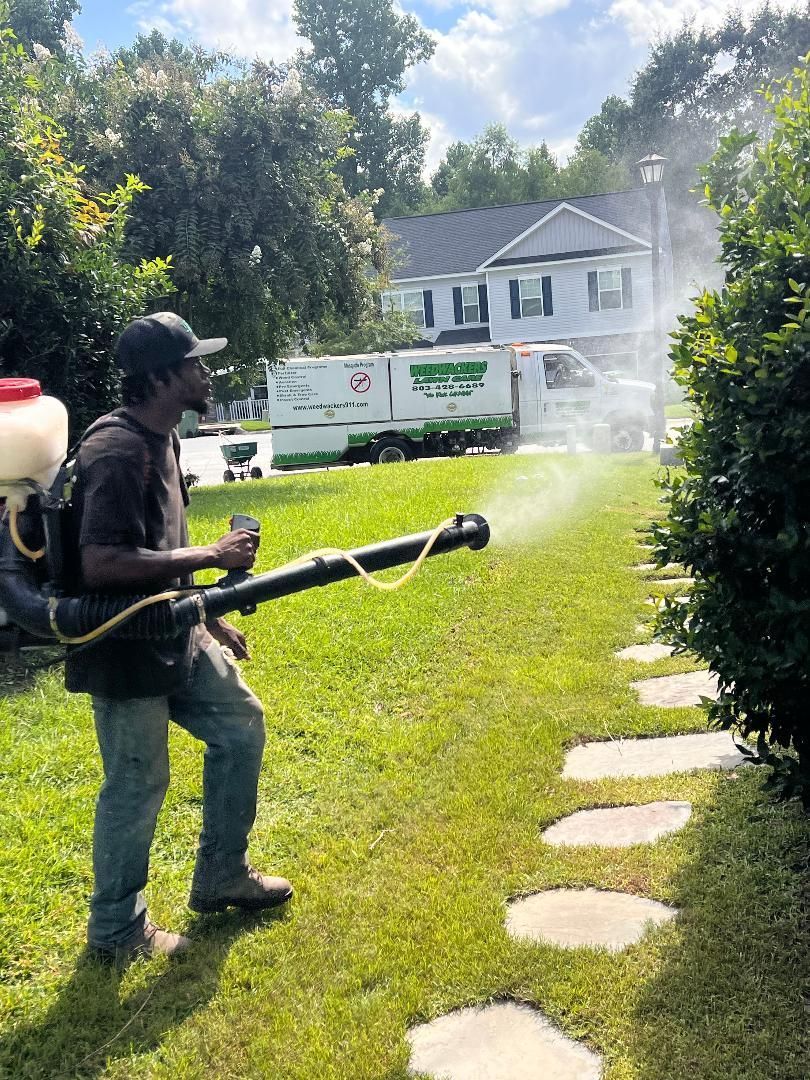 Person spraying the lawn for mosquitoes.