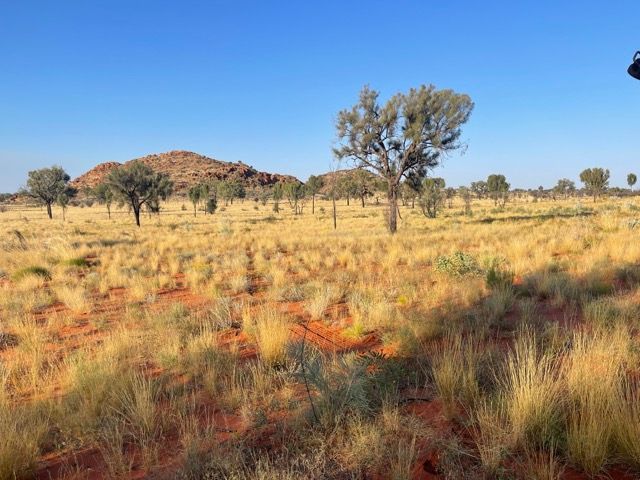 Australian outback with red dirt, yellow grass and trees — Alice Springs Electrical Services In Araluen, NT