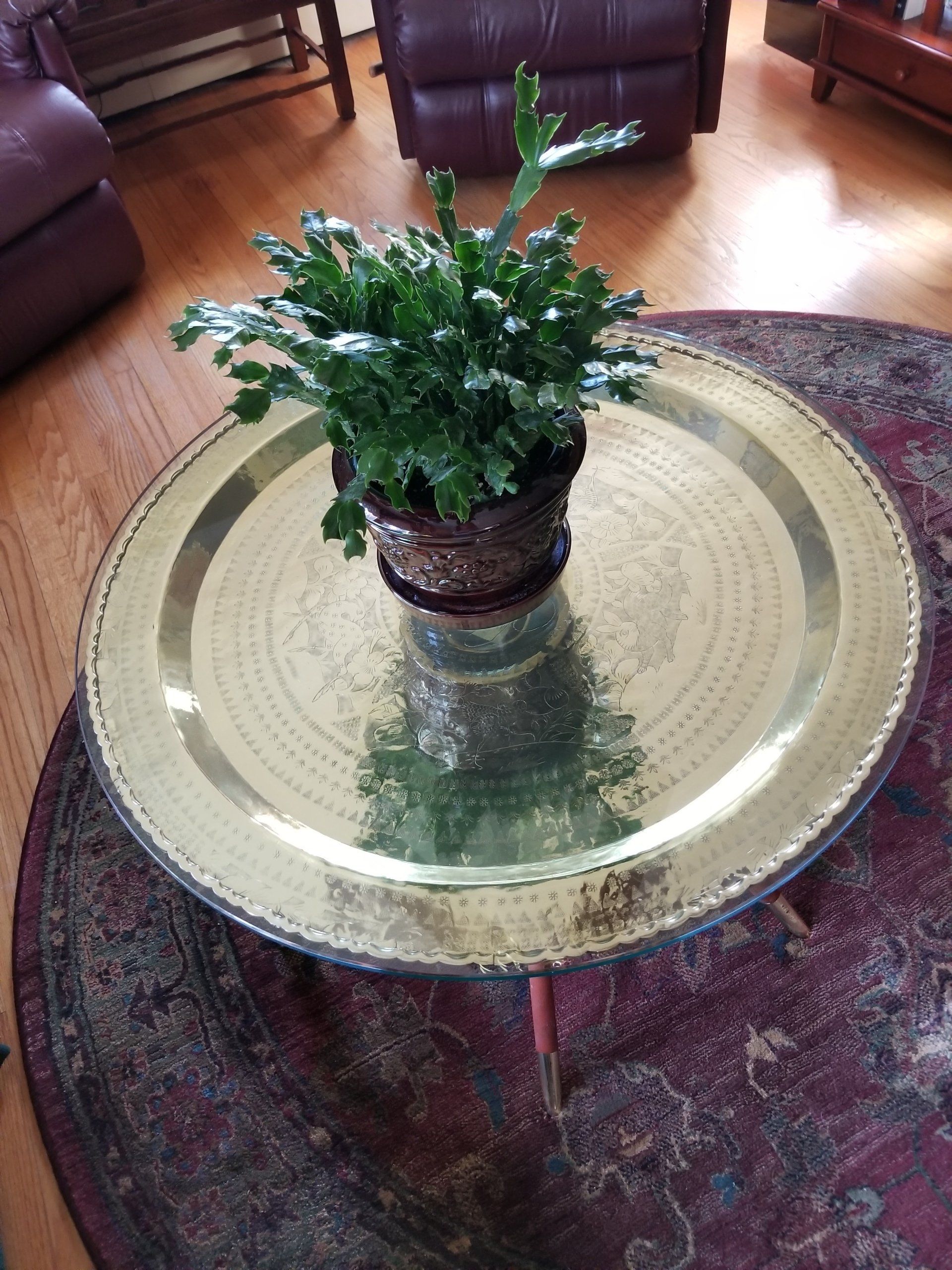 A potted green plant on a large, round, gold-toned table in a living room with a patterned rug.