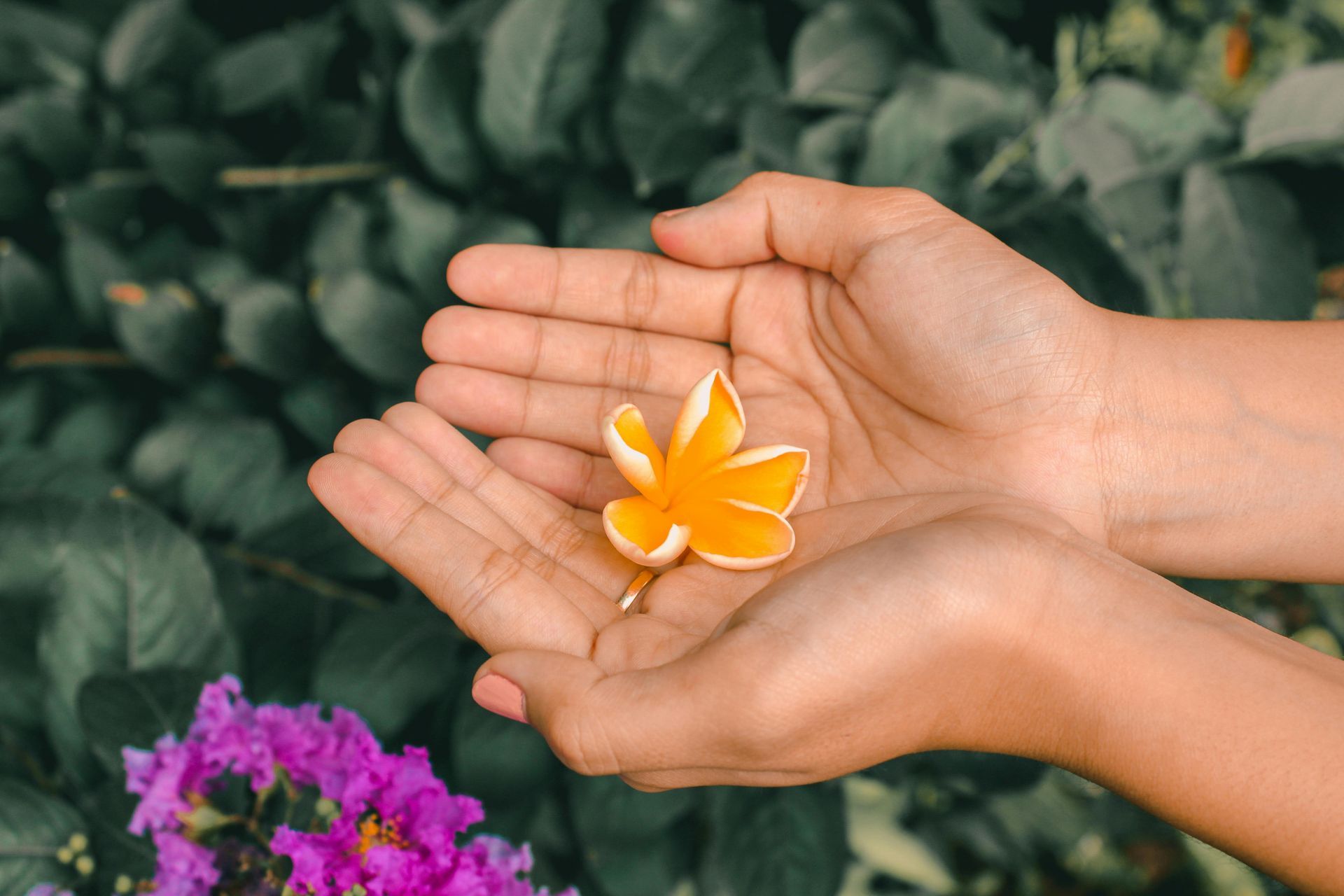 flower in woman's hand