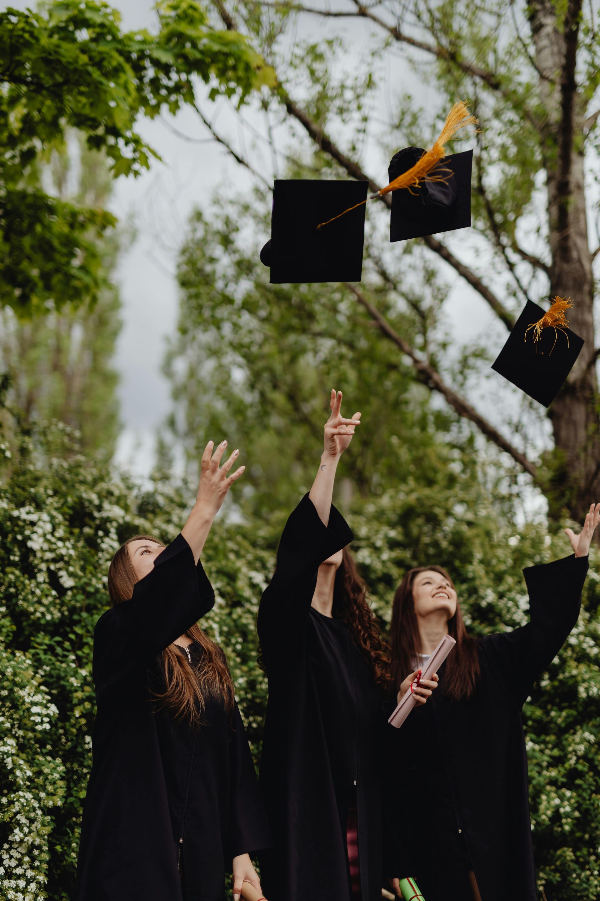 graduation caps in the air