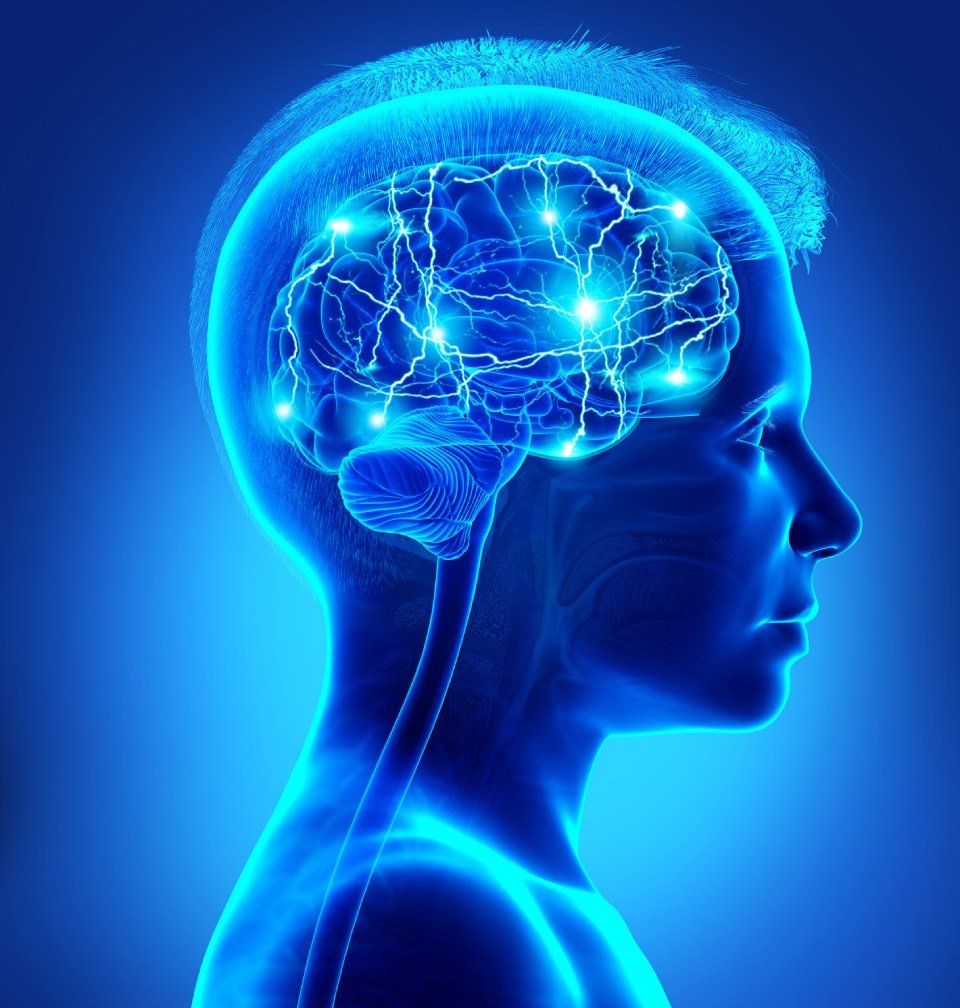 Neurologia - neurochirurgia