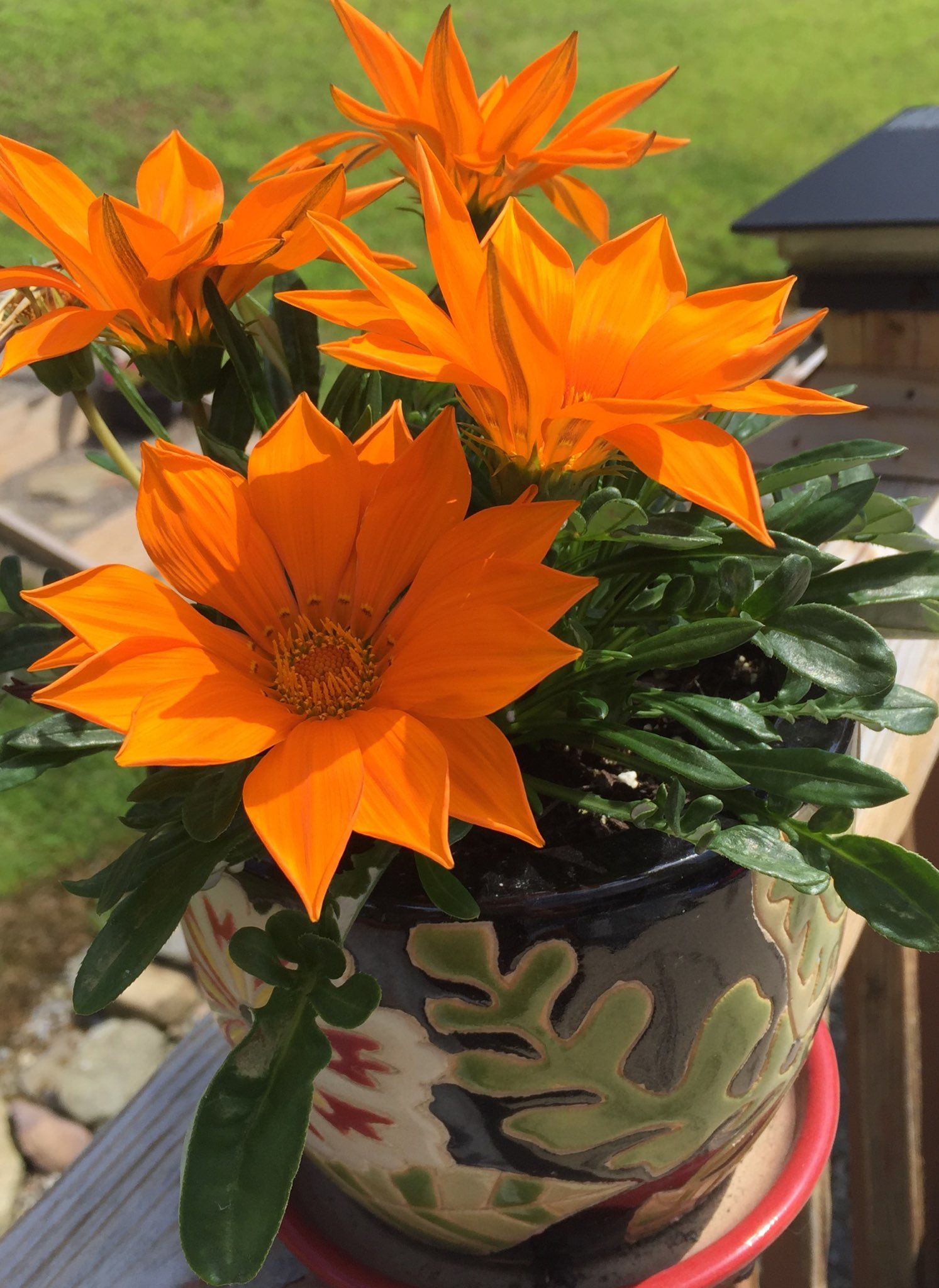 Village of North Hornell