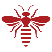 Bees — East Bernard, TX — Scott's Pest Control