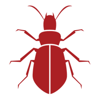 Beetles — East Bernard, TX — Scott's Pest Control