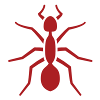 Carpenter Ant — East Bernard, TX — Scott's Pest Control