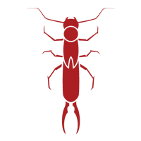 Earwig — East Bernard, TX — Scott's Pest Control