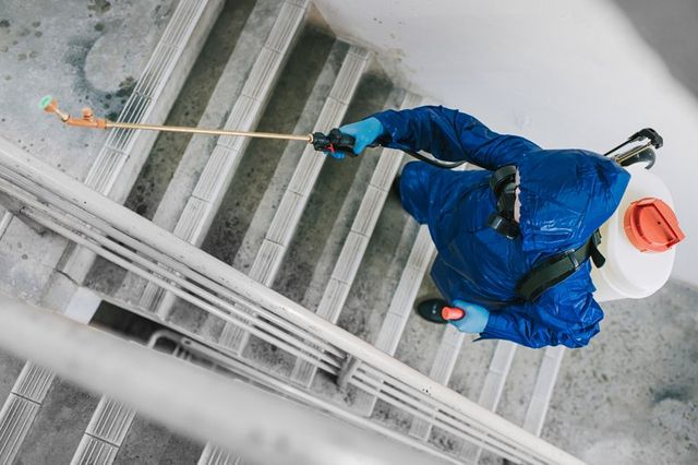 Woman in Protective Suit Spraying and Disinfecting the Staircase — East Bernard, TX — Scott's Pest Control