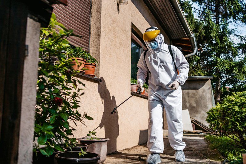 Backyard Disinfection — East Bernard, TX — Scott's Pest Control