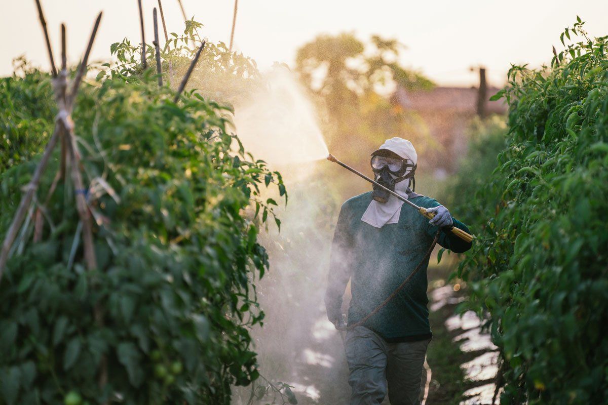 Farmer with Protective Mask Spraying Organic Pesticides — East Bernard, TX — Scott's Pest Control