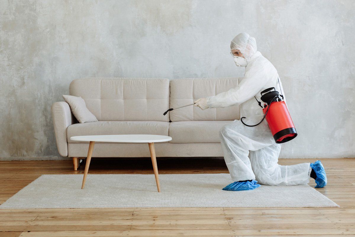 Man Disinfects Apartment in a Protective Suit — East Bernard, TX — Scott's Pest Control