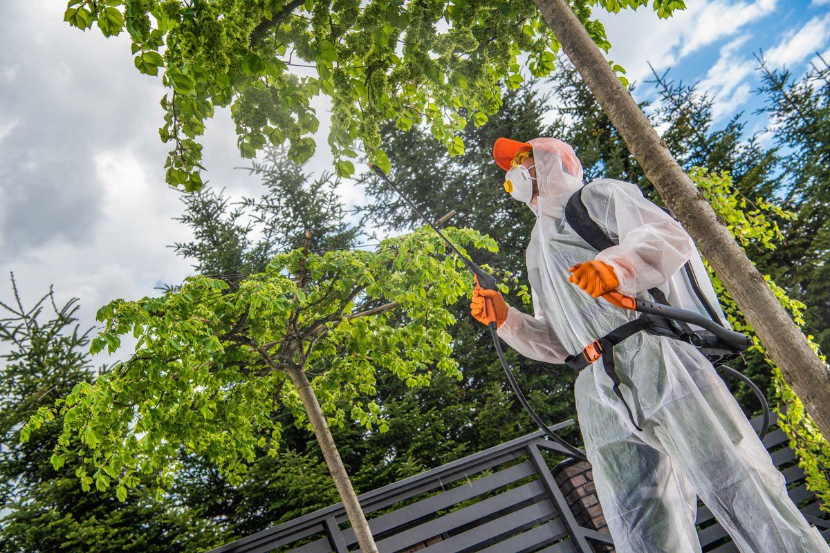 Garden Worker Spraying Backyard Trees and Plant — East Bernard, TX — Scott's Pest Control