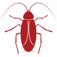 Roaches — East Bernard, TX — Scott's Pest Control