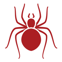 Spiders — East Bernard, TX — Scott's Pest Control