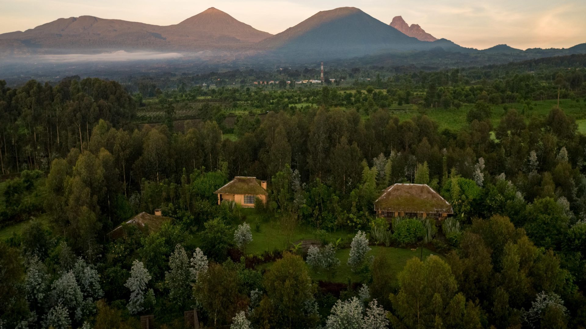 A bedroom with a large bed and a balcony with trees in the background.