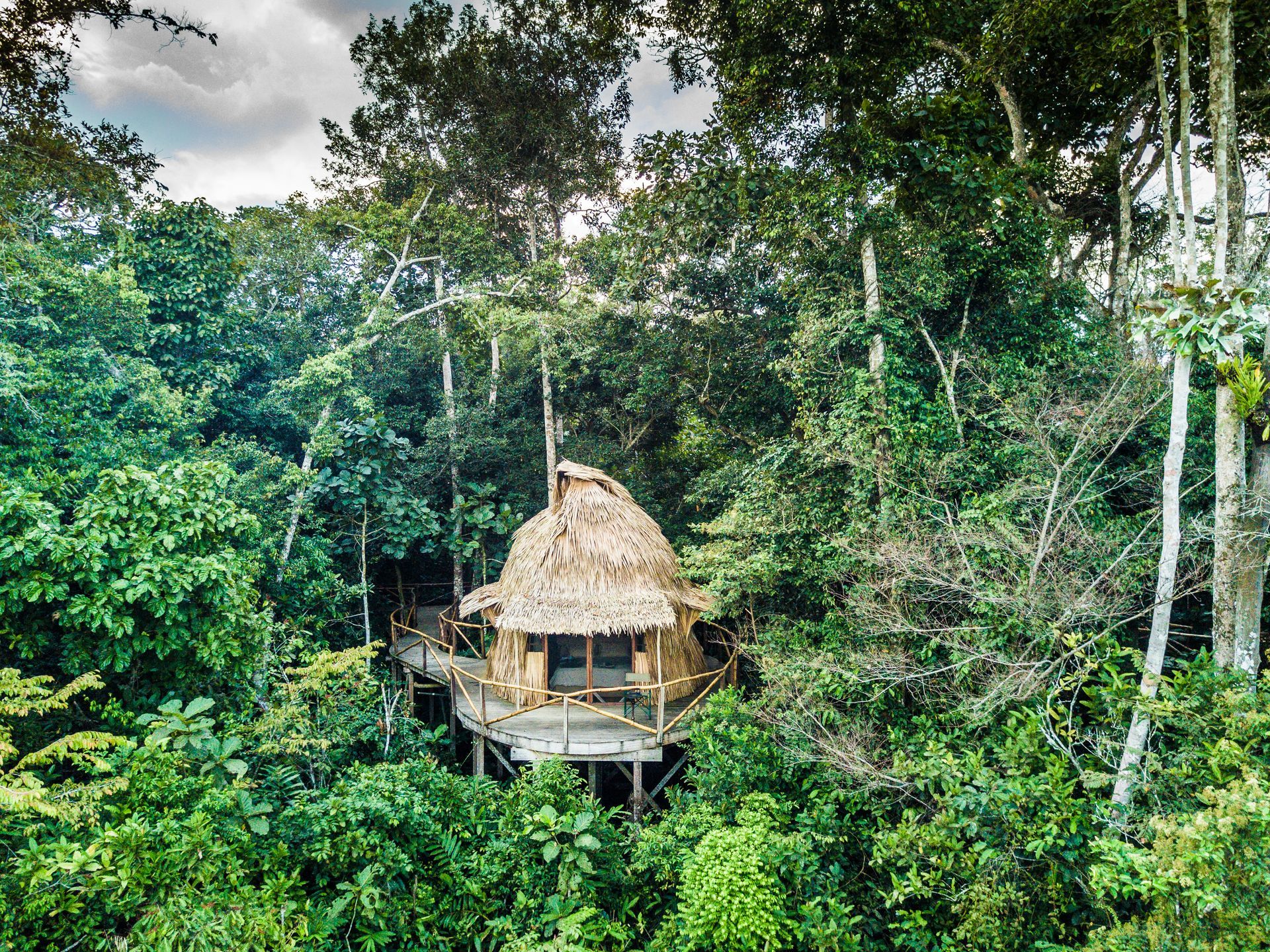 An aerial view of a tree house in the middle of a forest.