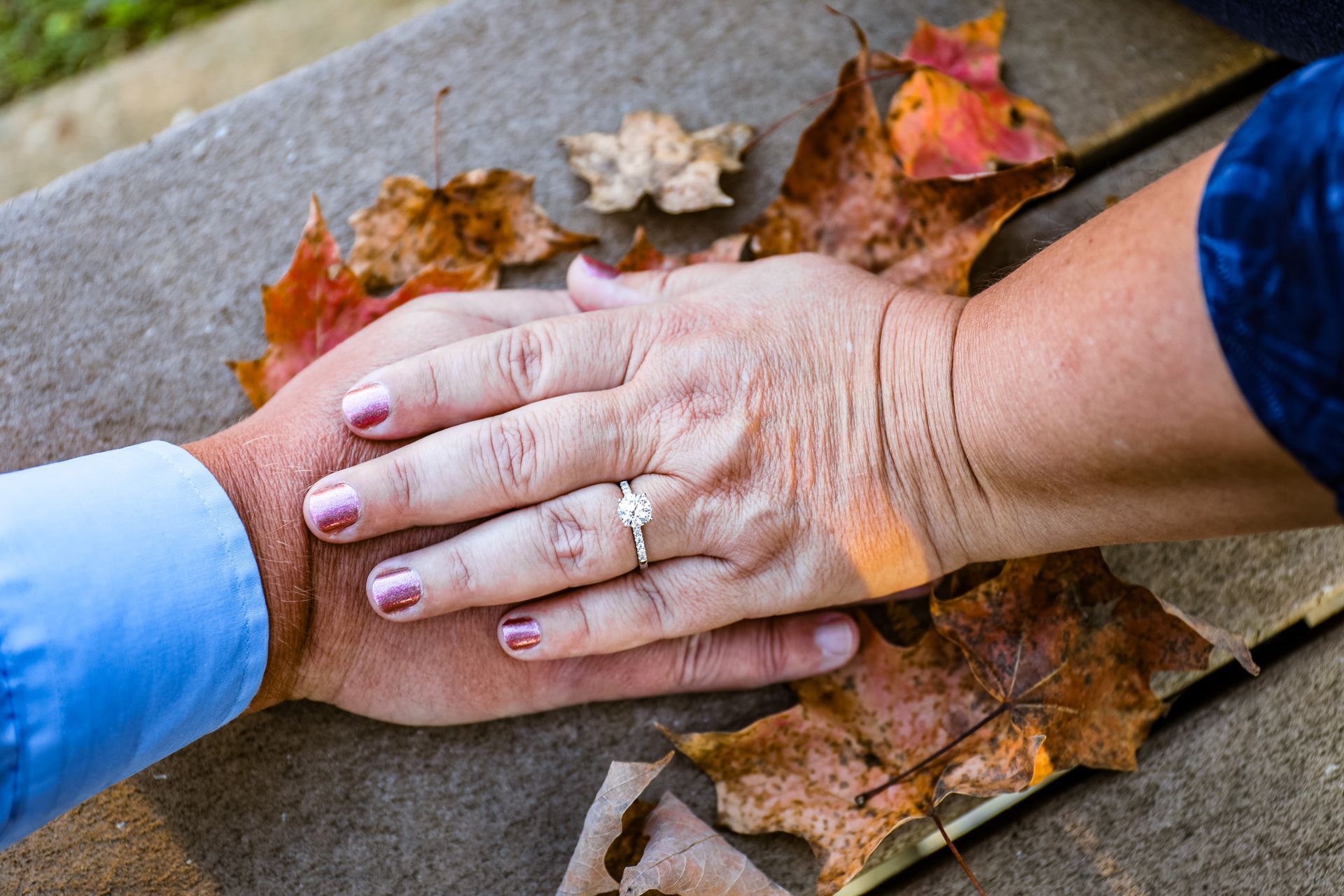 A man and a woman are holding hands with leaves in the background . the woman has an engagement ring on her finger.