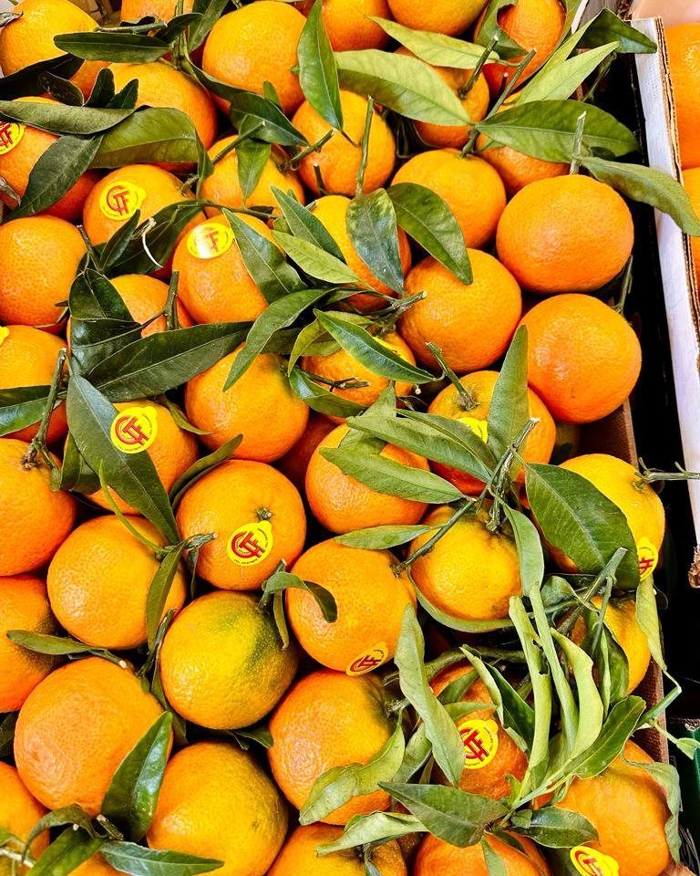 I sapori dell'ortofrutta da Giuseppe