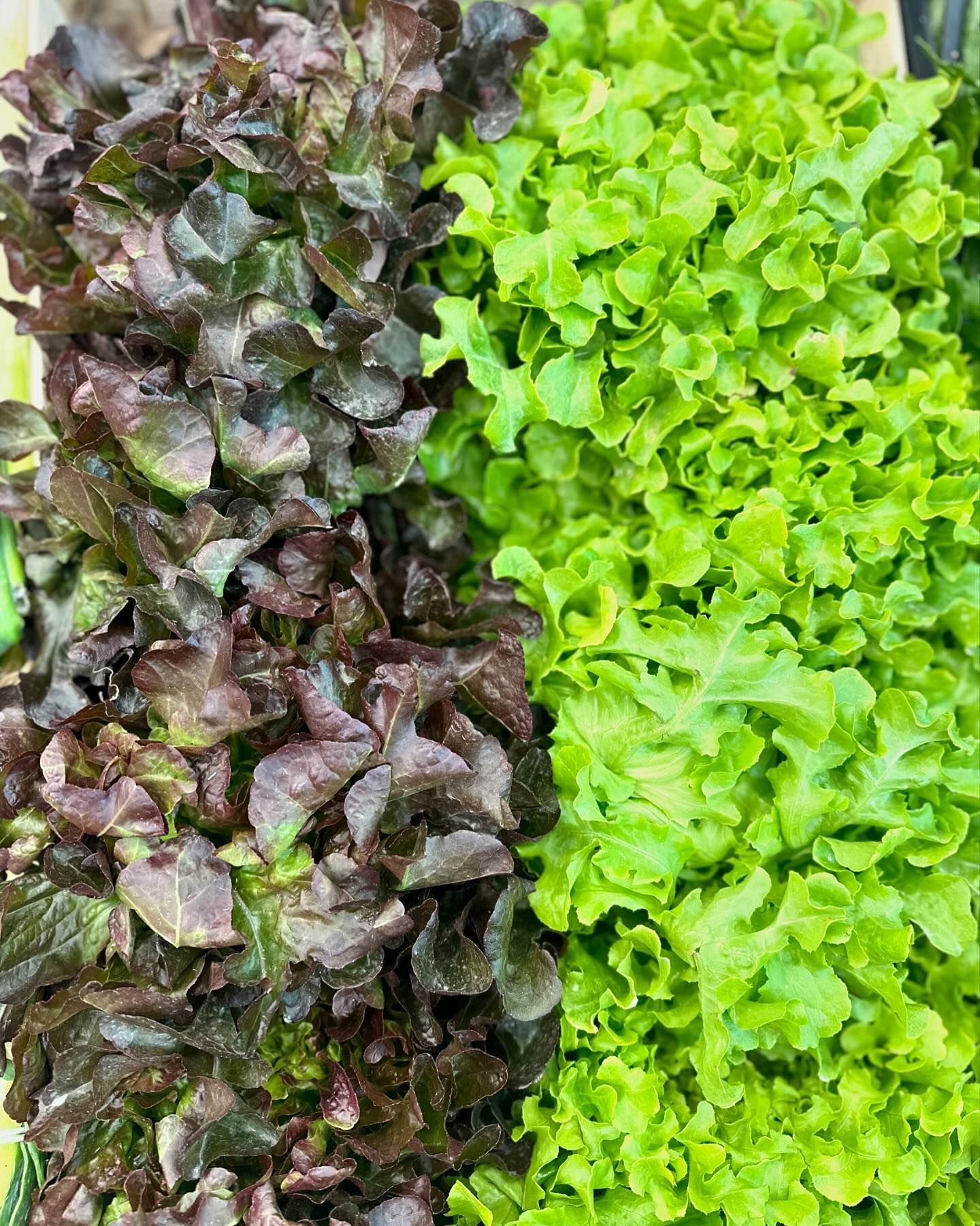 I sapori dell'ortofrutta da Giuseppe