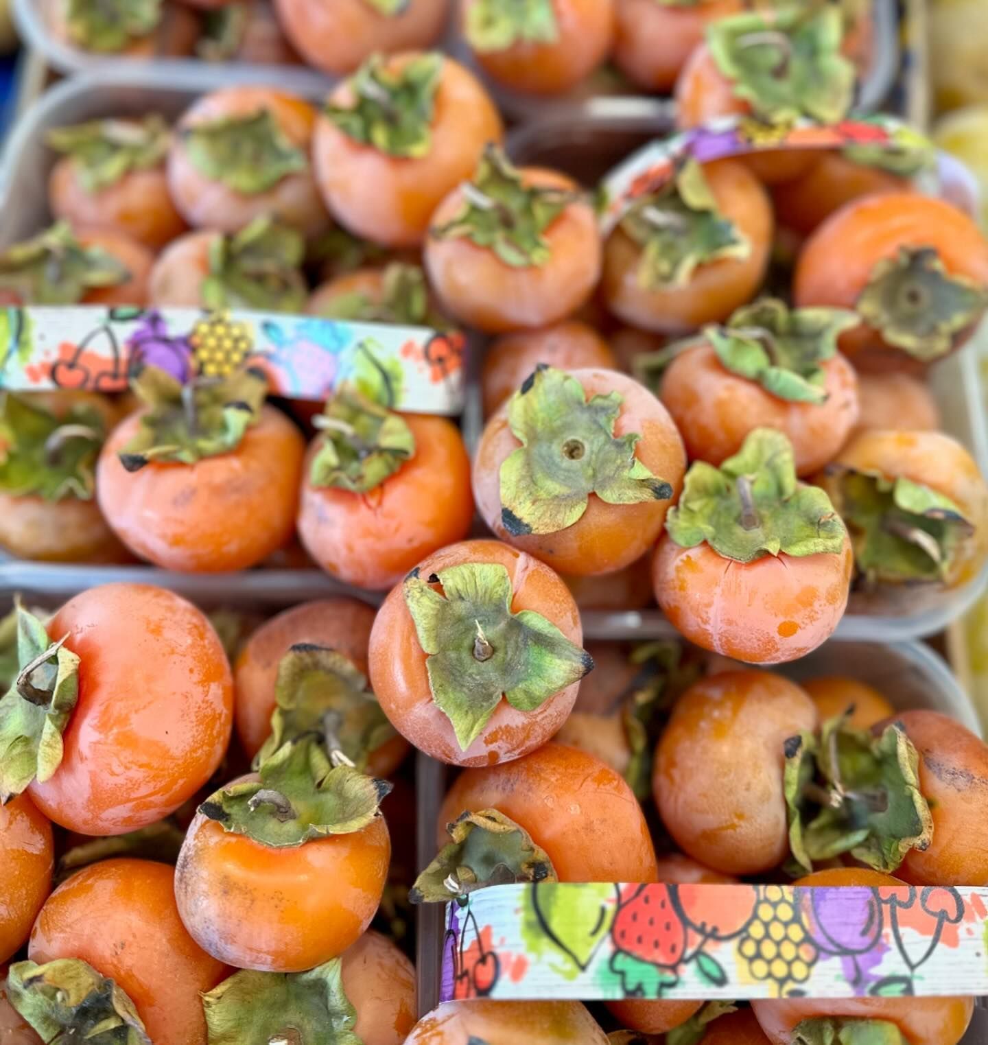 I sapori dell'ortofrutta da Giuseppe