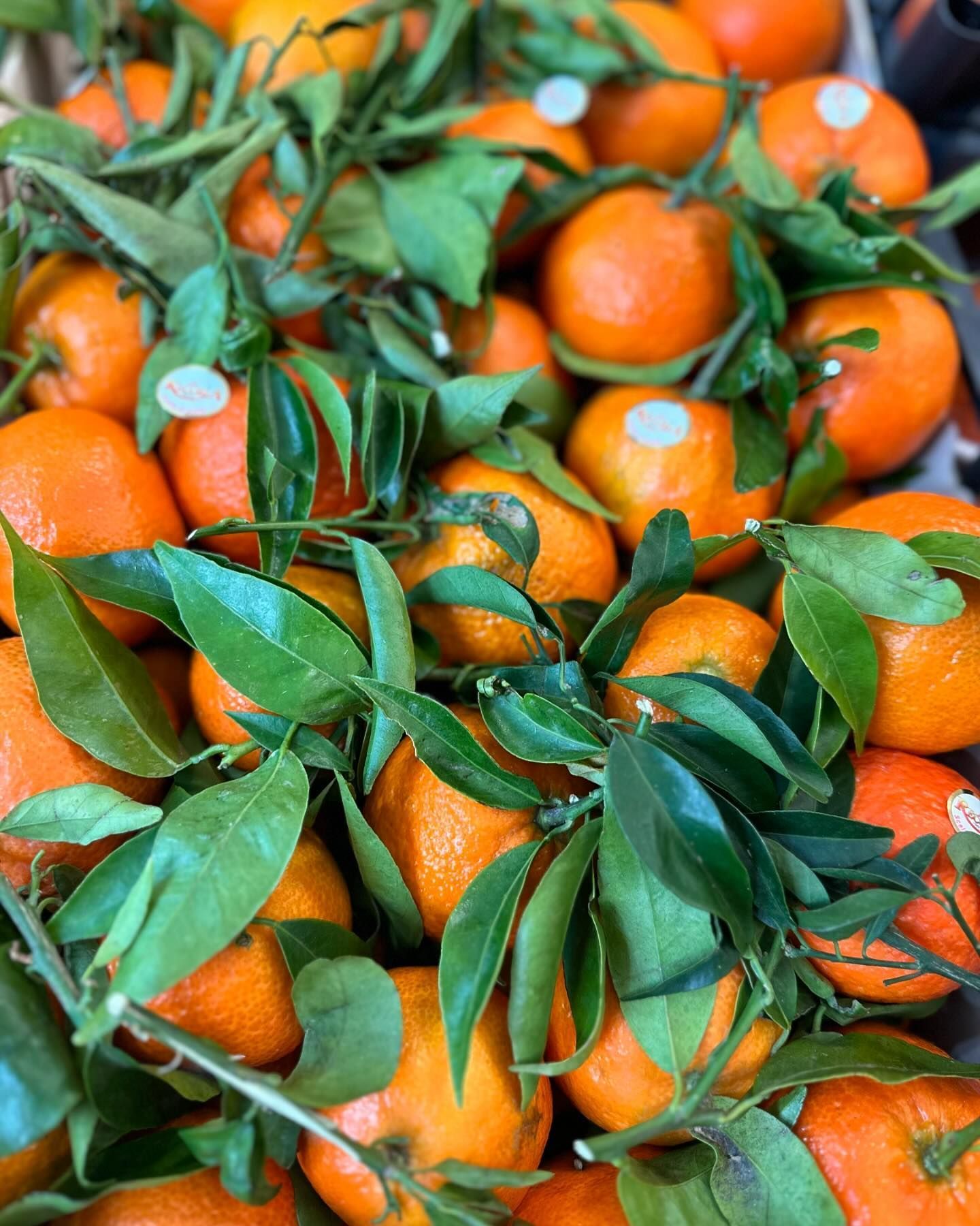 I sapori dell'ortofrutta da Giuseppe