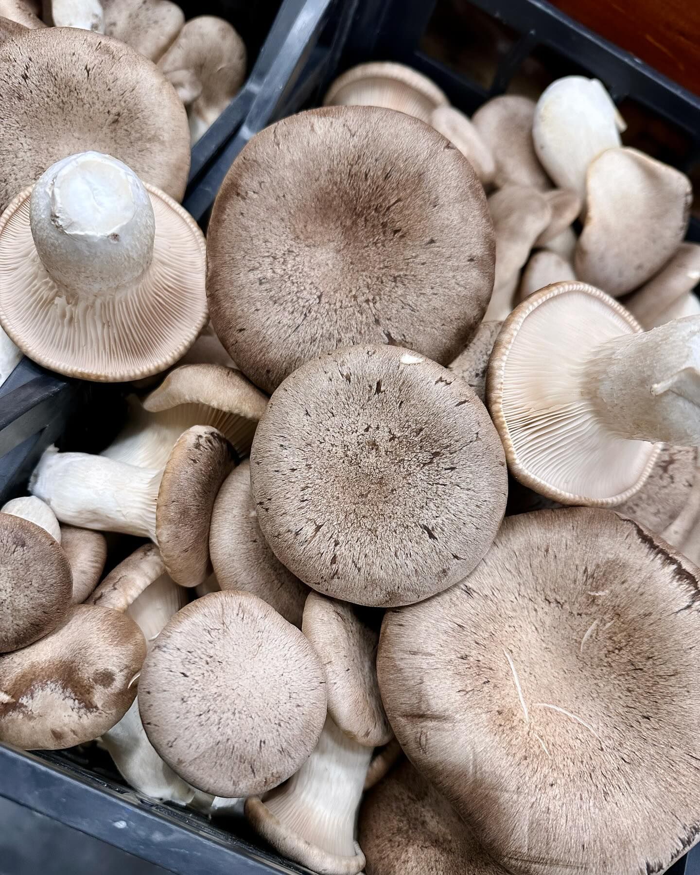 I sapori dell'ortofrutta da Giuseppe