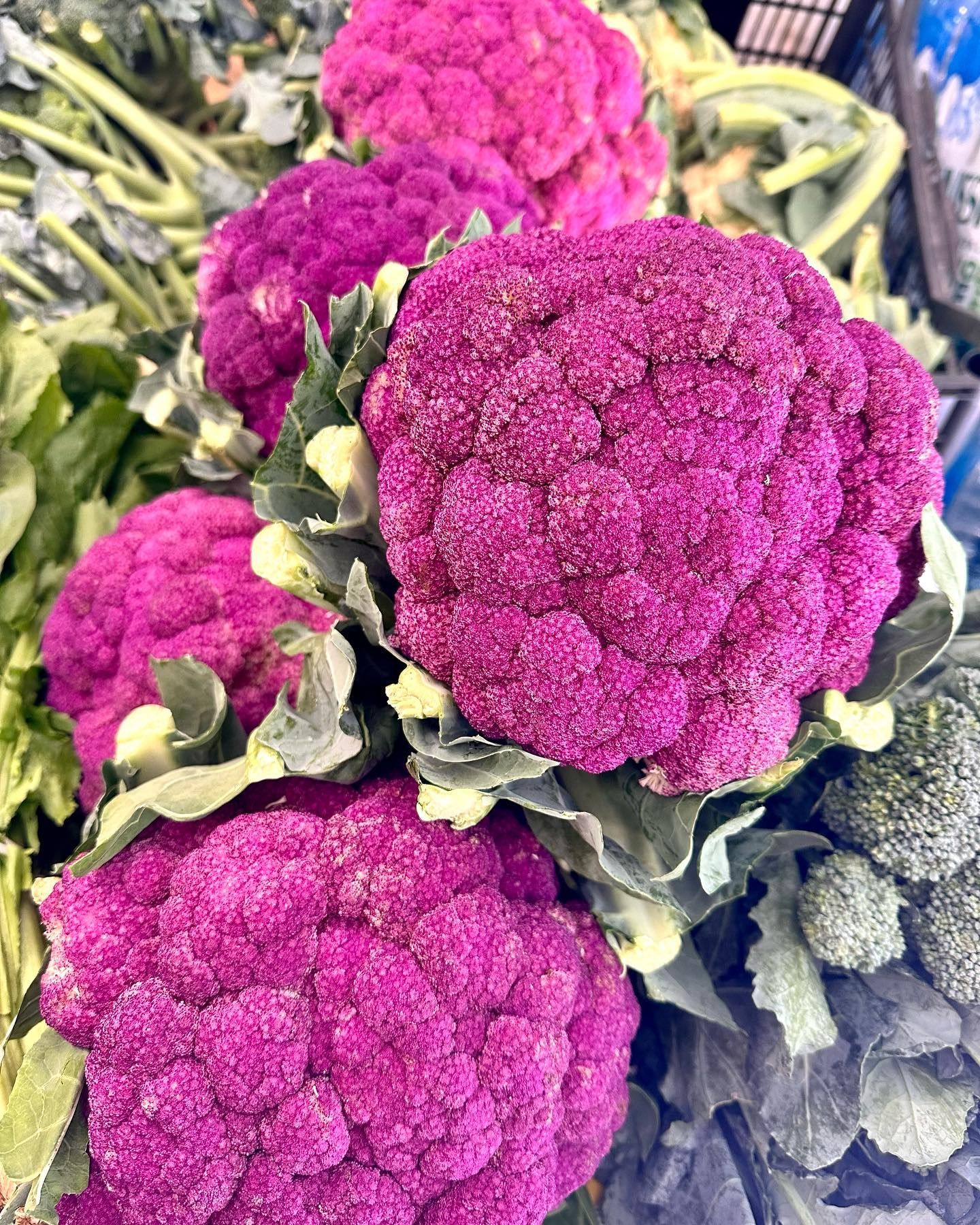 I sapori dell'ortofrutta da Giuseppe