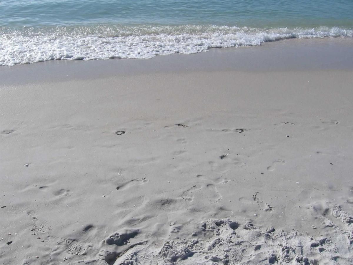 A sandy beach with waves crashing on the shore