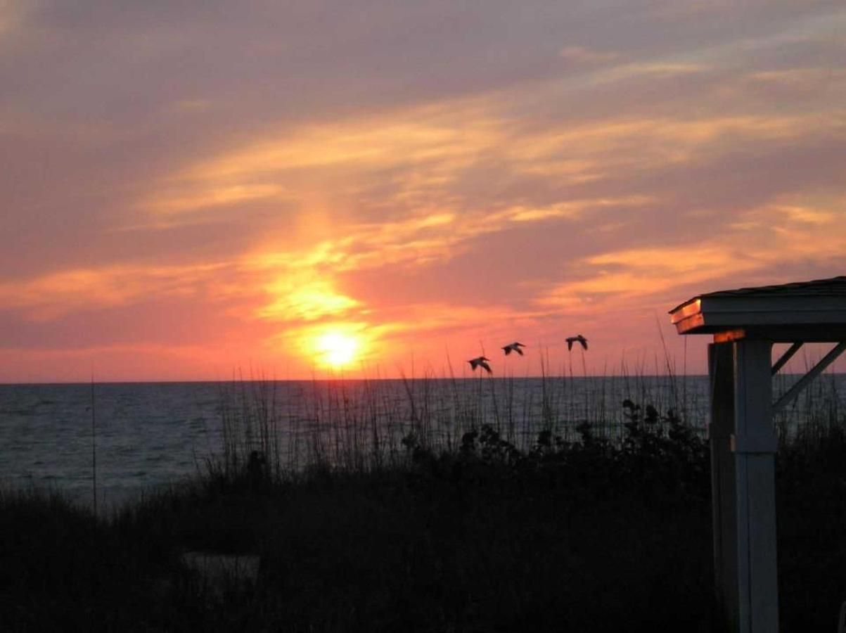 A sunset over the ocean with birds flying in the distance