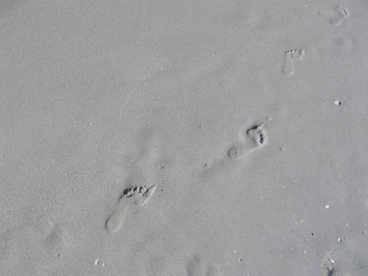 There are footprints in the sand on the beach.