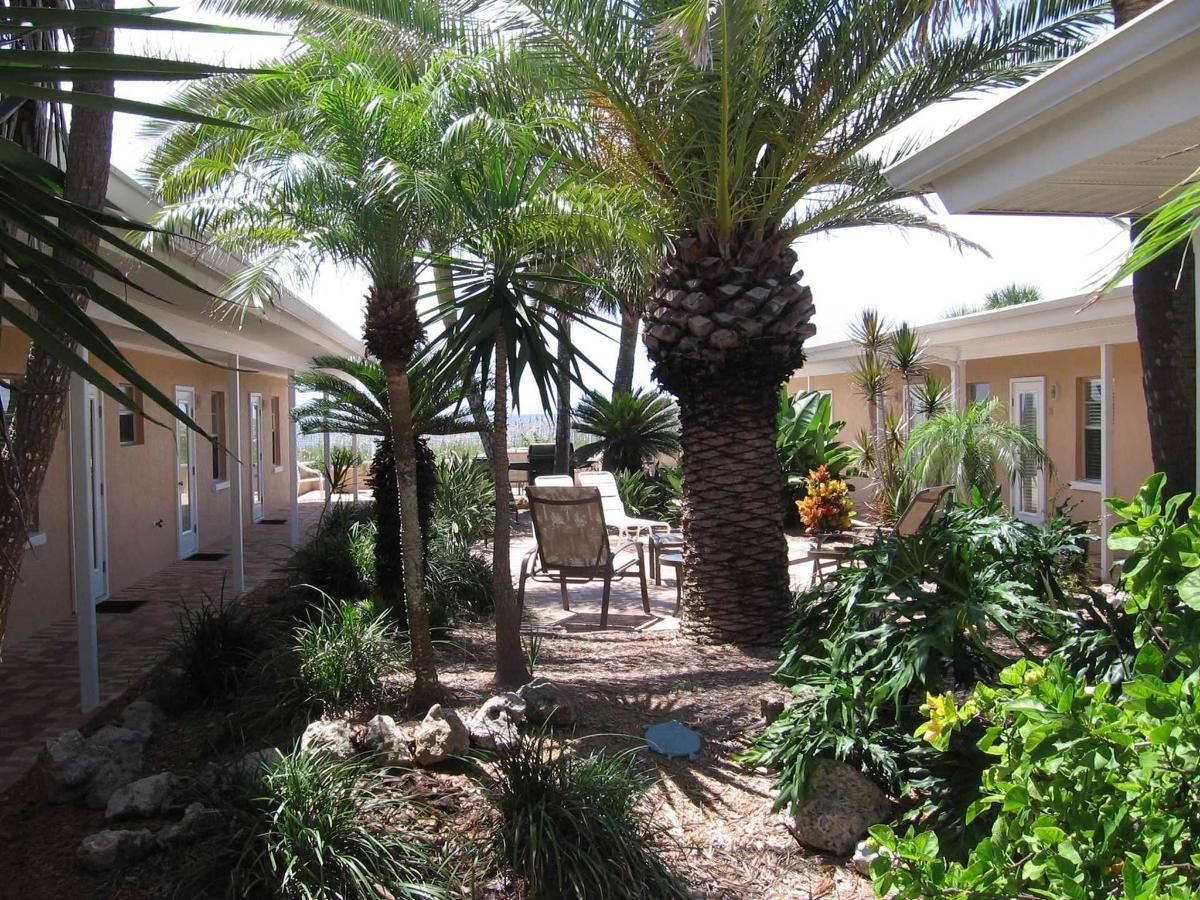 A courtyard with palm trees and chairs between two buildings