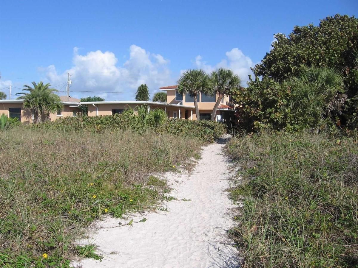 A dirt path leading to a house with palm trees