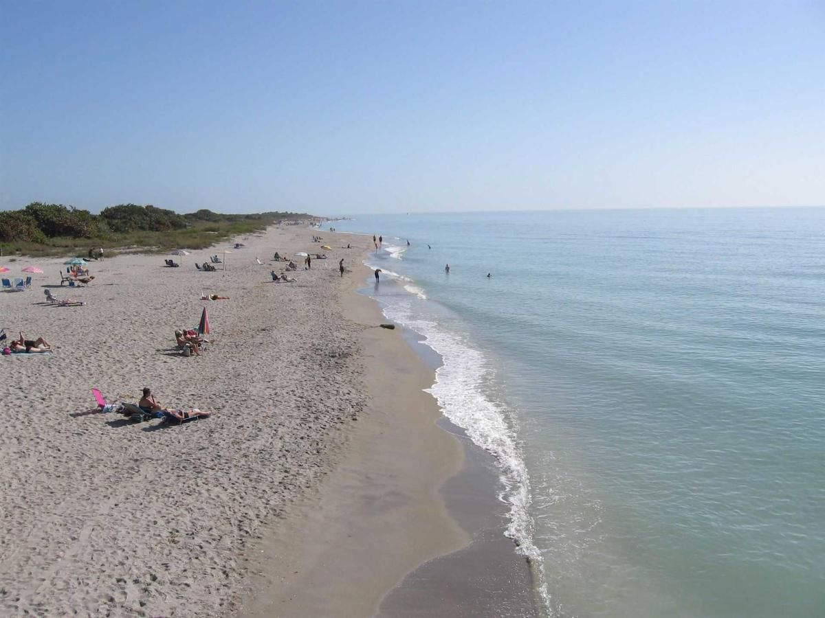 A beach with a lot of people on it