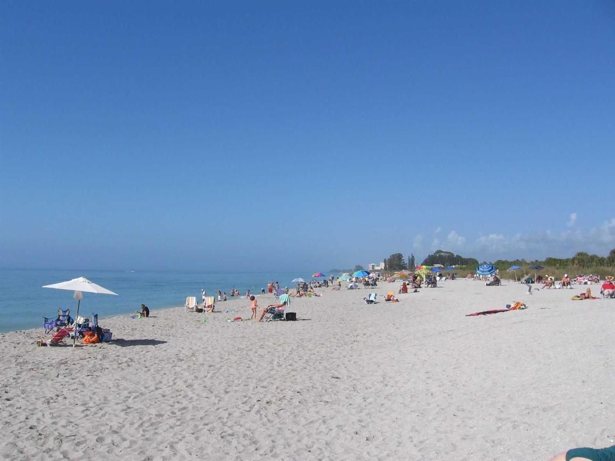 A beach with a lot of people and umbrellas