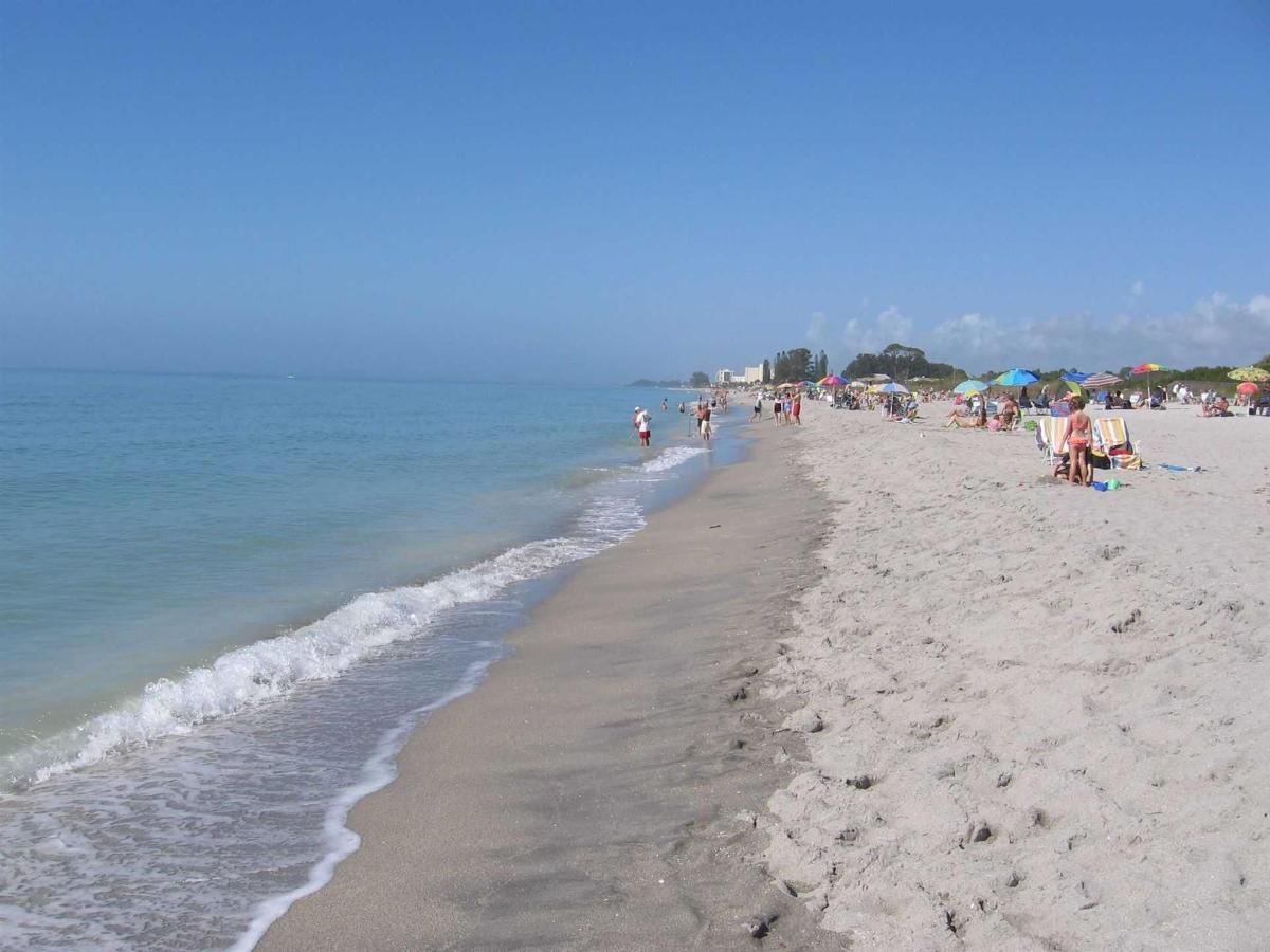 A beach with a lot of people on it