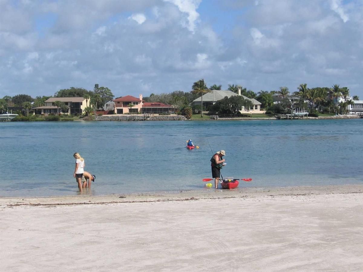 A group of people are playing in the water on a beach.